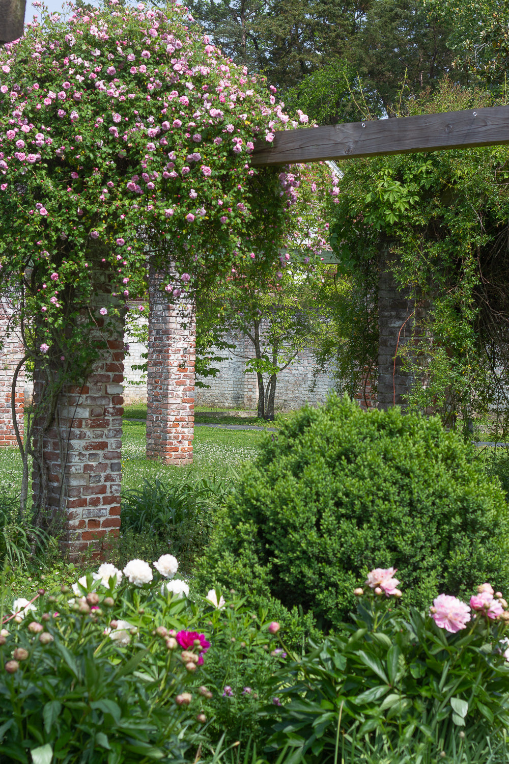 Gardens with climbing roses and peonies