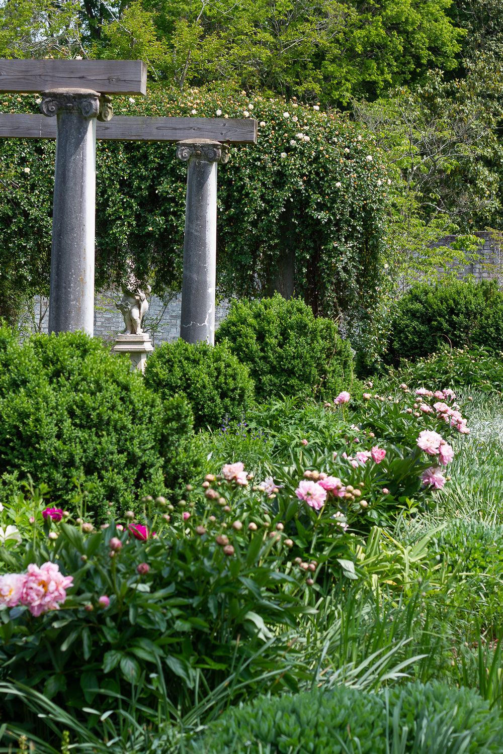 gardens with columns trellis and peonies