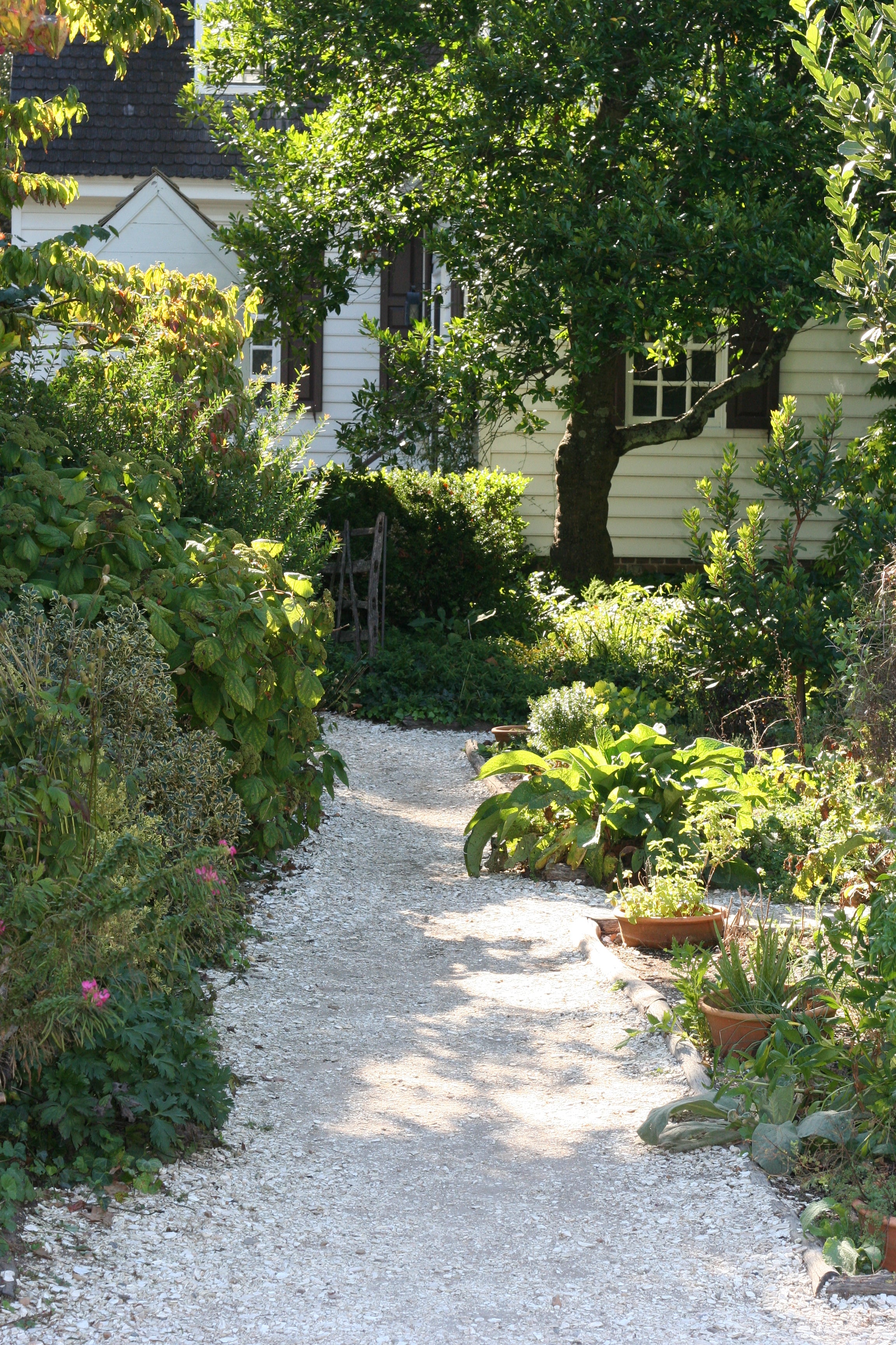Garden path in cottage garden