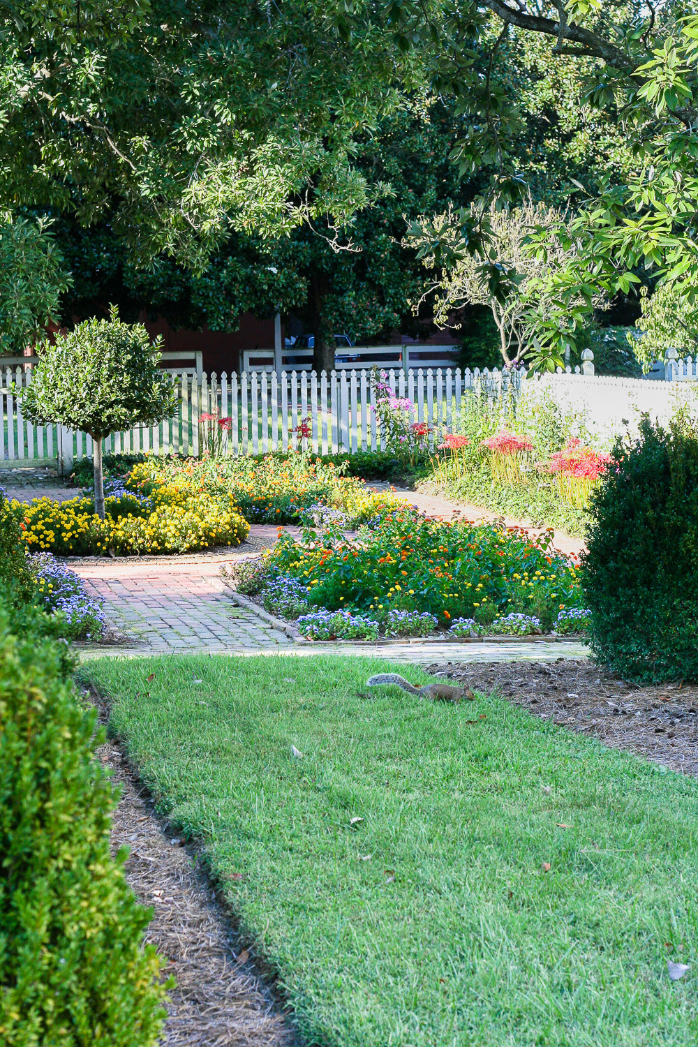 Cottage flower garden at Colonial Williamsburg