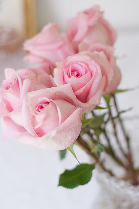 bouquet of pink roses