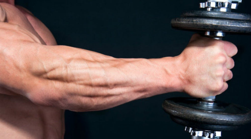 forearm muscle exercises