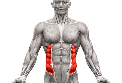 dumbbell exercises for the external obliques