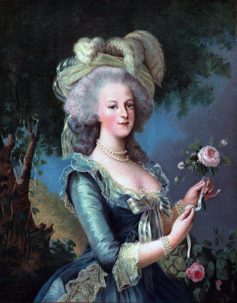 Marie Antoinette a la rose - Oil painting by Elisabeth Louise Vigee Le Brun