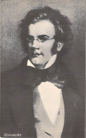 Franz Schubert Young