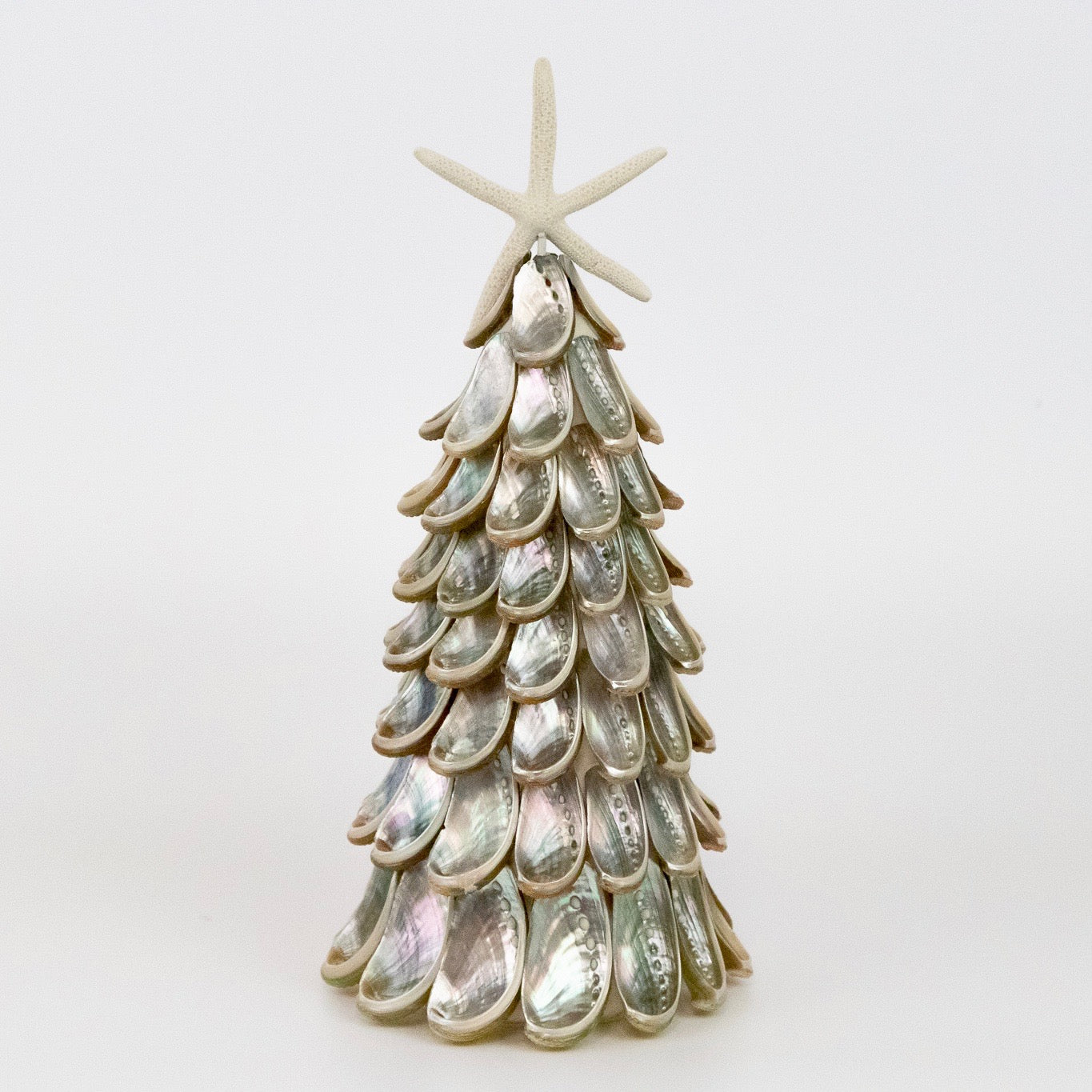 Silver Abalone Tree with Seastar Designer