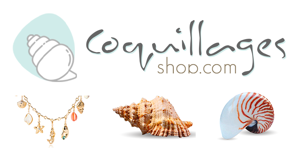 Coquillages Shop