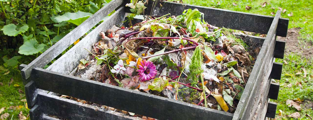 Coquille huitre pour faire compost