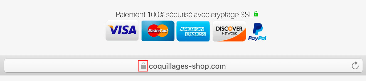 Sécurité et paiements sur Coquillages shop