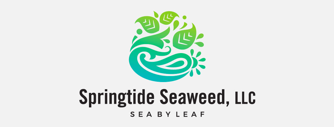 exemple logo algue marine