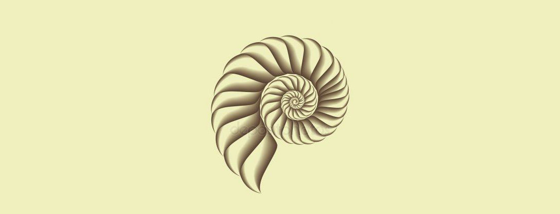 logo dessin coquillage minimaliste
