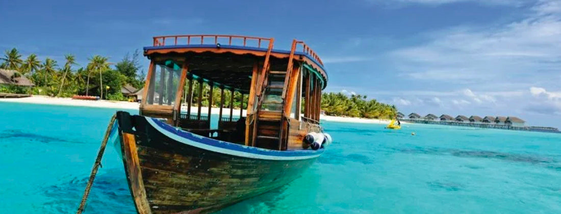 îles Maldives Origine des coquillages Cauris