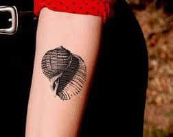 Tatouage coquillage signification