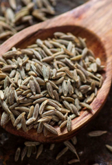 benefits of eating cumin seeds