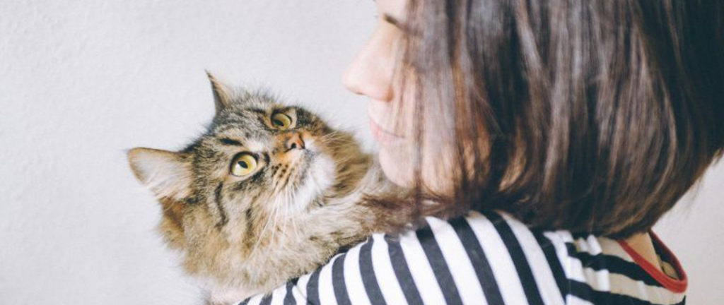 Les chats nous considèrent-ils comme une espèce différente 