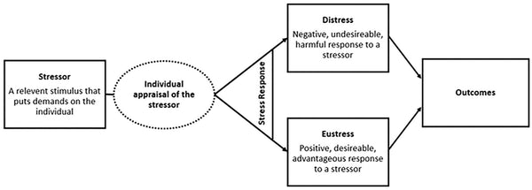 Stress Sensitivity and Eustress – Can You Increase Your