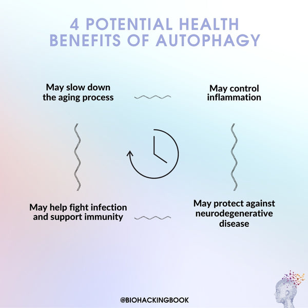 Autophagy – The Major Cleaning System of the Body