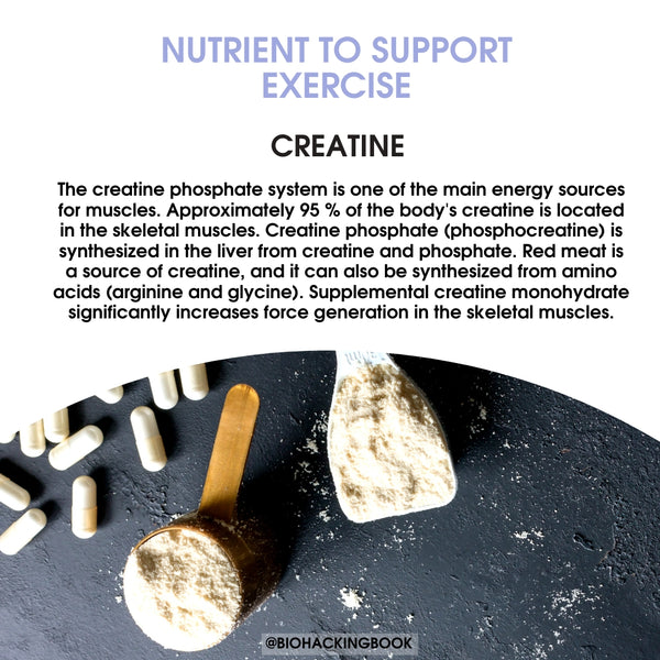 6 Nutrients to Support Recovery from Exercise