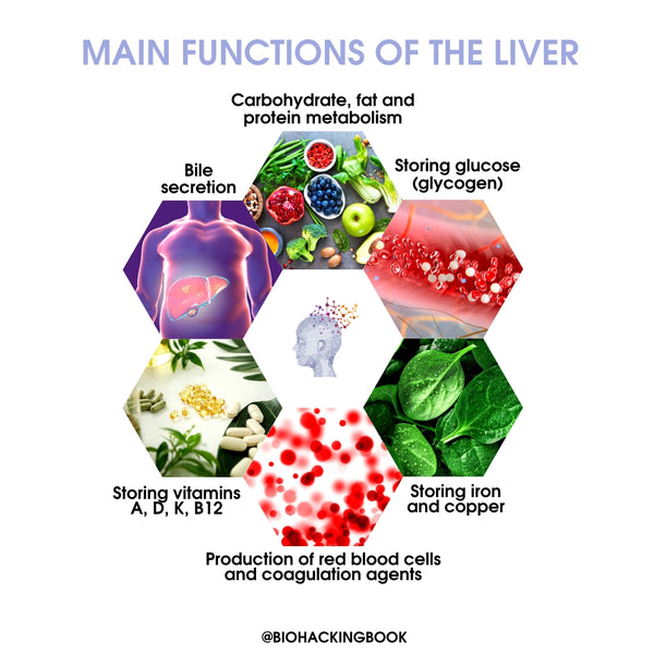Best Ways to Optimize Your Liver Function
