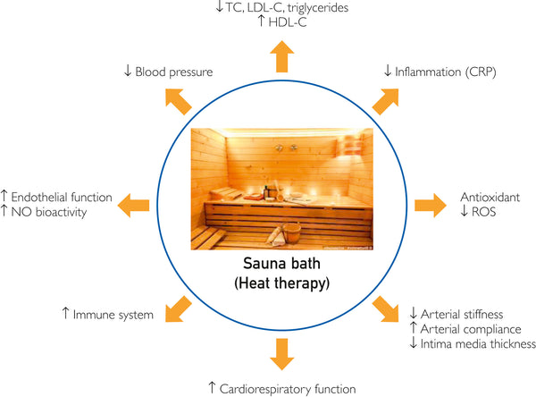 Heat Alteration: Health Benefits of Traditional Sauna &