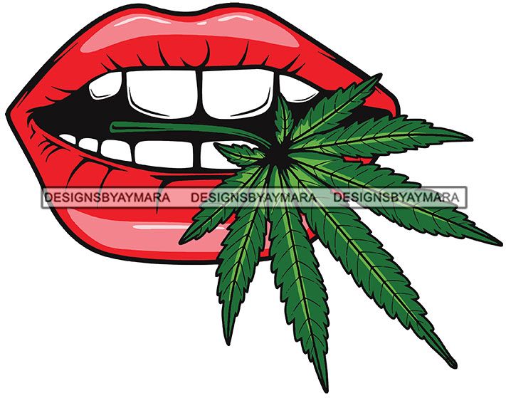 Free Free 164 Free Weed Svg Files SVG PNG EPS DXF File