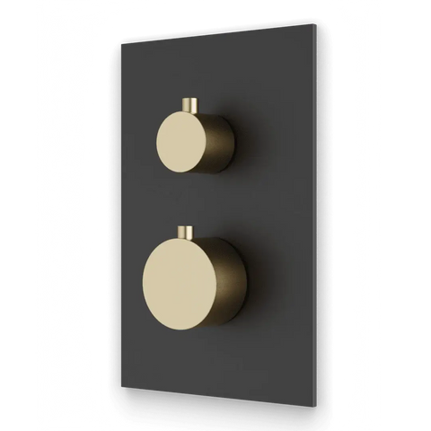 A dual tone shower control in Satin Brass and Matte Black