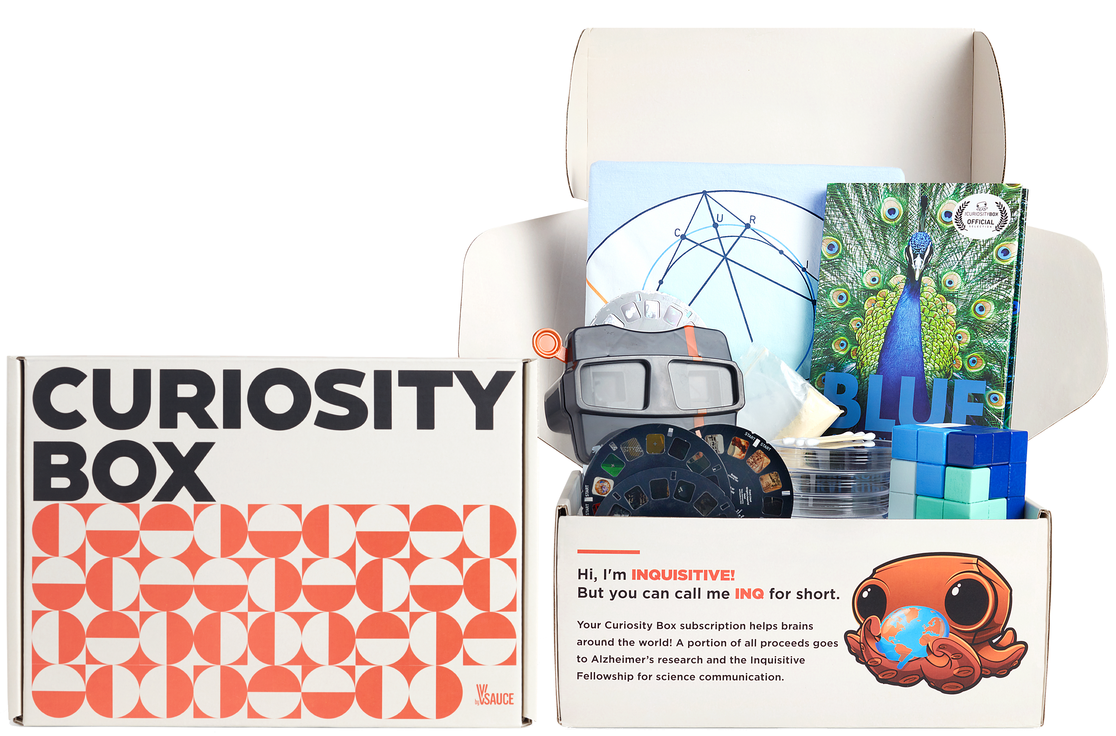 The Curiosity Box The Subscription For Thinkers