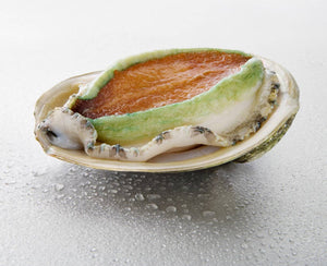Australian Greenlip Abalone Meat g (10 -15 pcs) Sholo