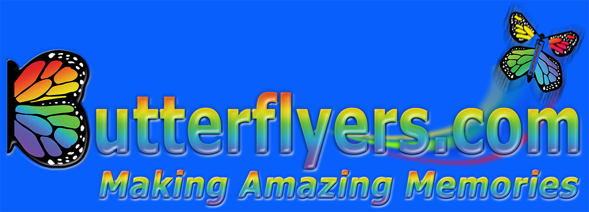 Exploding Flying Butterfly Box From Butterflyers.com 