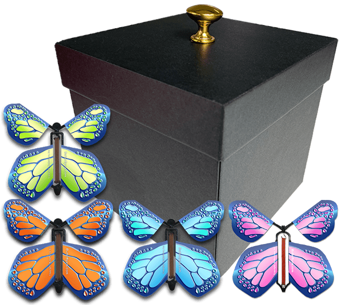 Black Exploding Butterfly Box With Monarch Flying Butterflies Butterflyers