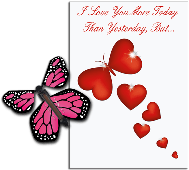 More Today Than Yesterday Card With Flying Butterfly Butterflyers