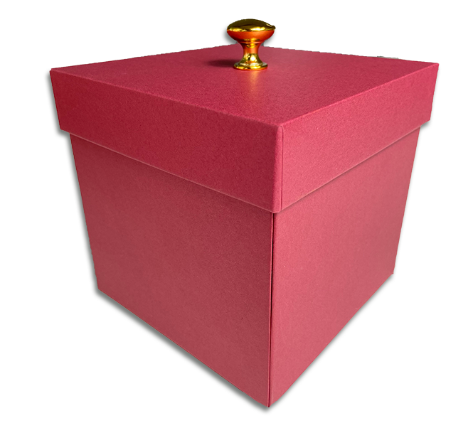 Pink Christmas Exploding Butterfly Box With Wind Up Flying Butterflies