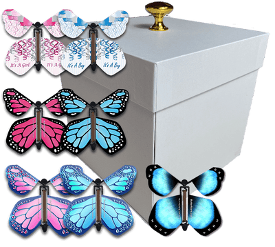 SendaCake White Birthday Party Explosion Flying Butterfly Surprise