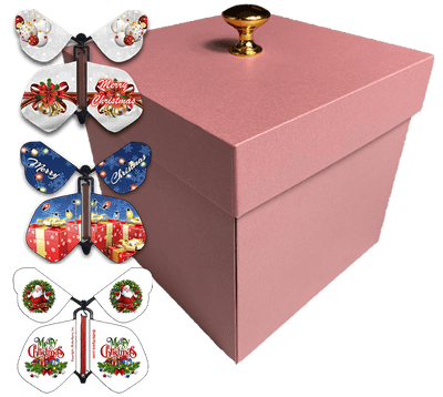 Send A Cake Explosion Box Gift with Flying Butterfly Surprise- Birthday Holiday Special Occasion - Birthday Treat for Women Men
