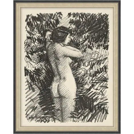 11th Edition of Countryside Collections