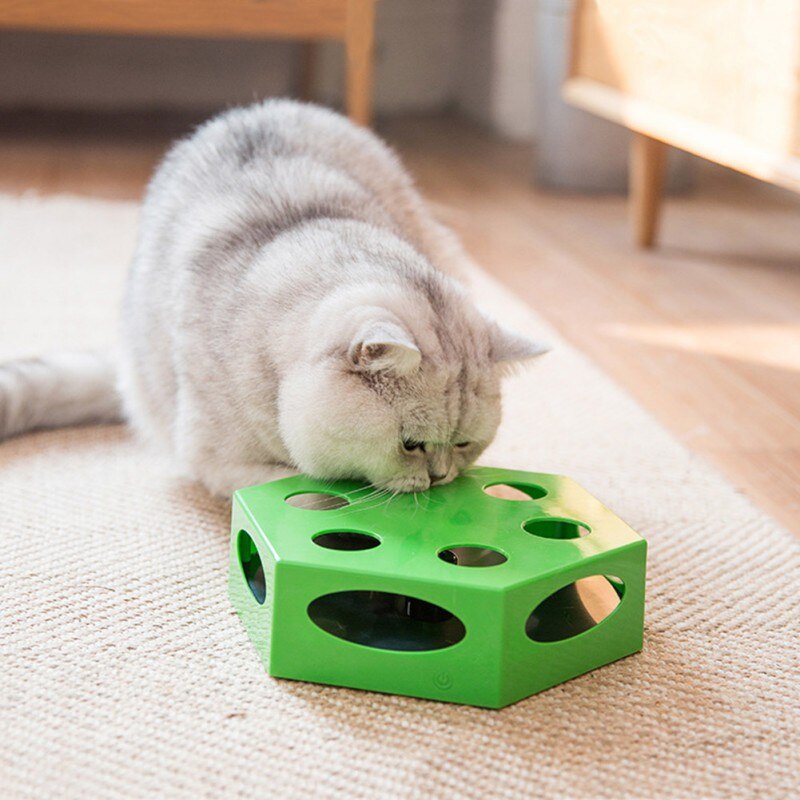 Jeu De Cache Cache Interactif Pour Chats Chatcestbon