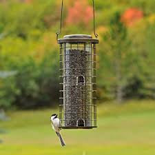 Squirrel Stumper Wild Bird Feeder