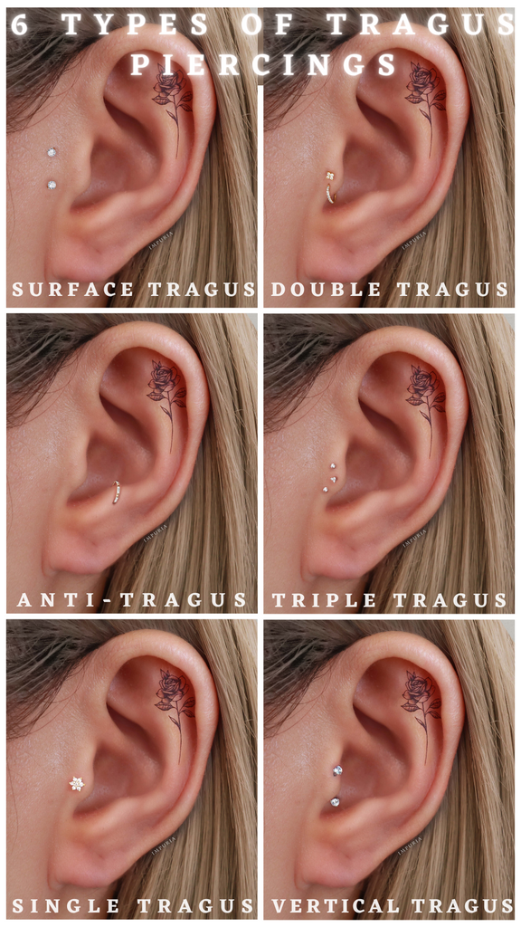 6 Types of Tragus Piercing Anti-Tragus Vertical Tragus Surface Tragus - Impuria Ear Piercing Jewelry