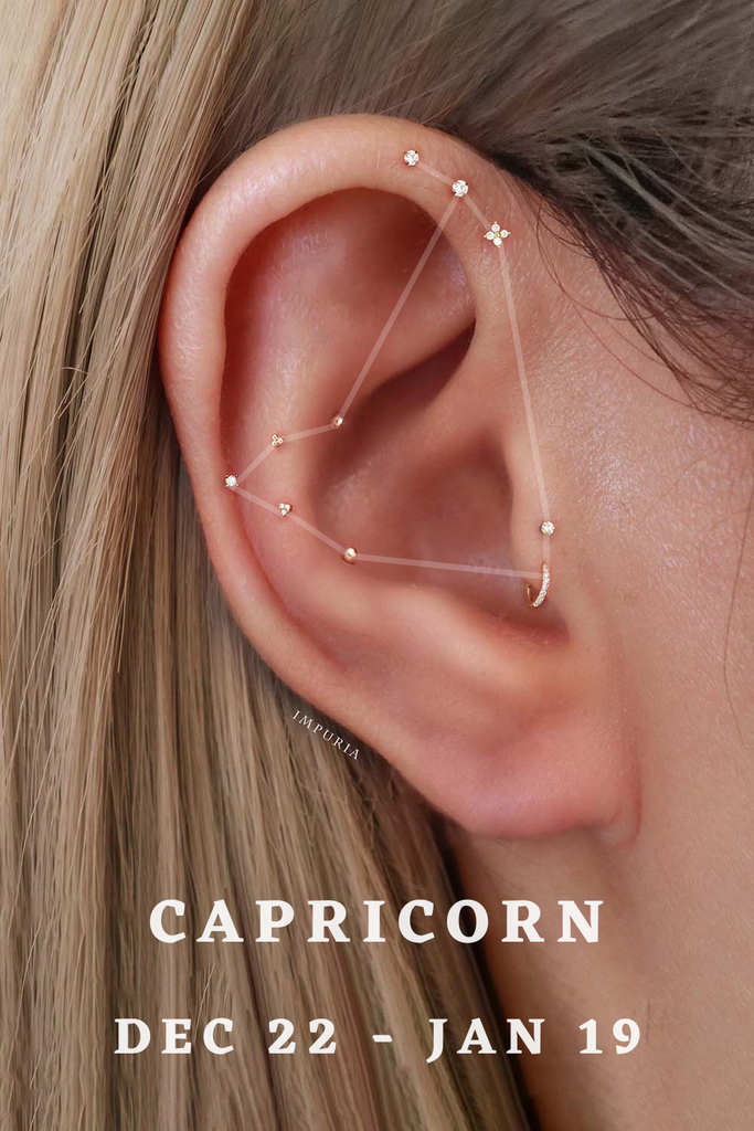 Capricorn Zodiac Astrology Constellation Ear Piercing Jewelry Earrings - www.Impuria.com