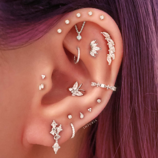 vervormen Immoraliteit Terminal Impuria Ear Piercing Jewelry: Cute Ear Piercing Jewelry Earrings