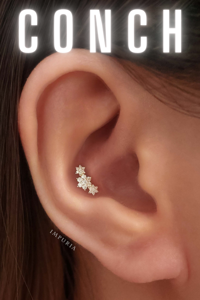 Conch Stud Earring - Impuria Ear Piercing Jewelry