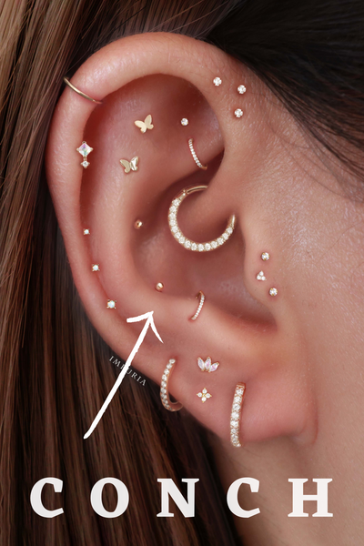 Conch Stud & Hoop Earrings - Impuria Ear Piercing Jewelry