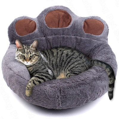 Large tiger cat lay in a cozy bed - the pet talk