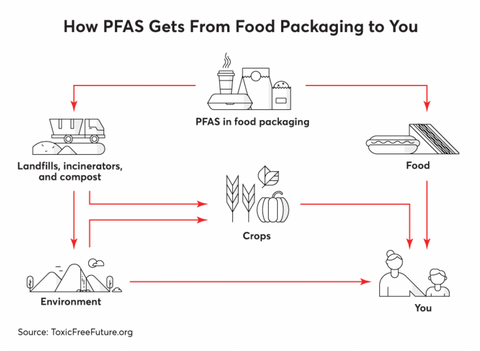 How PFAS Get From Food Packaging to to You 