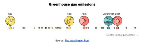 Greenhouse Gas Emissions (Per Diet)