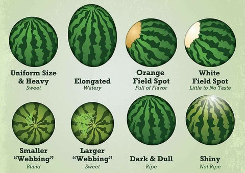 How To Pick The Perfect Watermelon