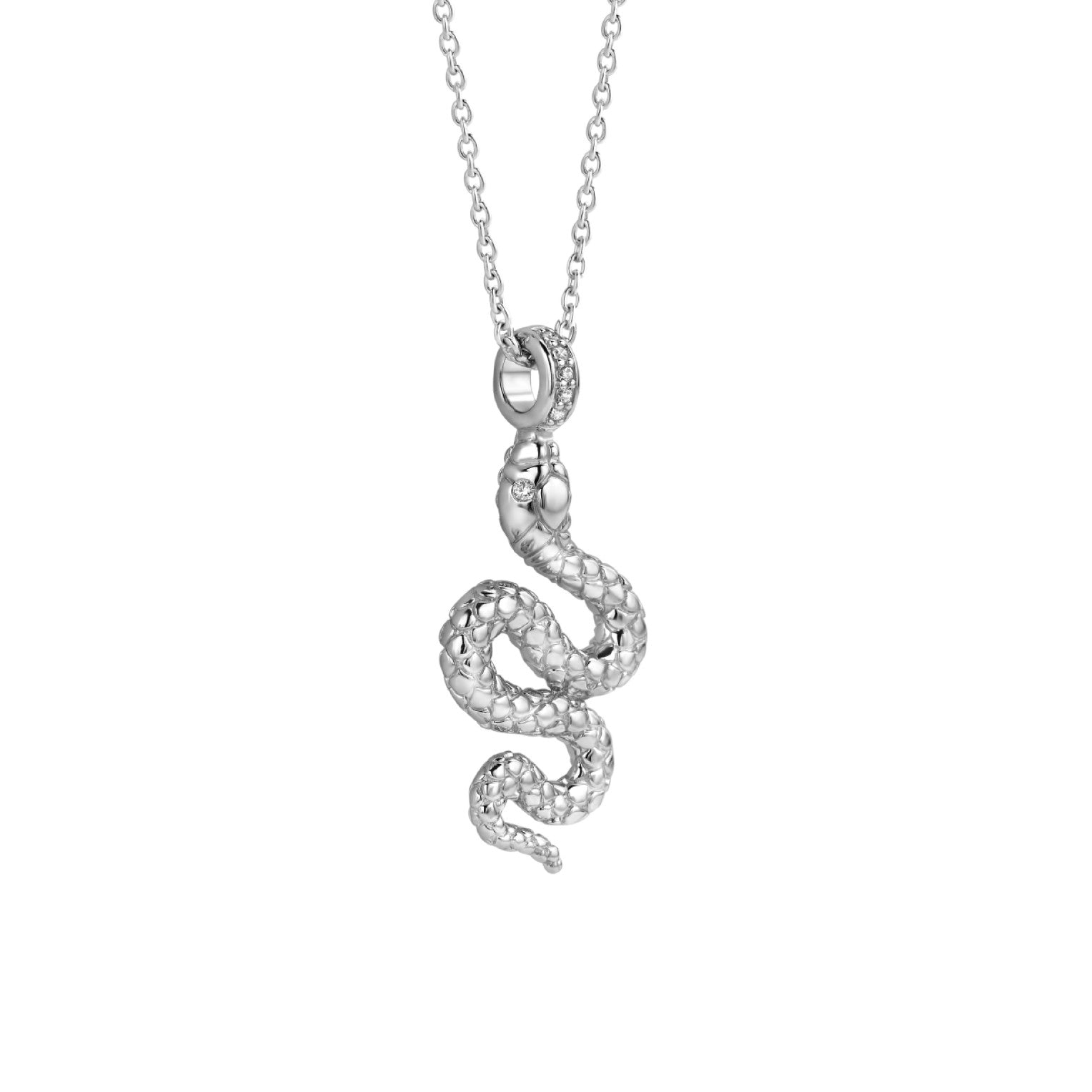 Sophisticated Snake Silver Necklace