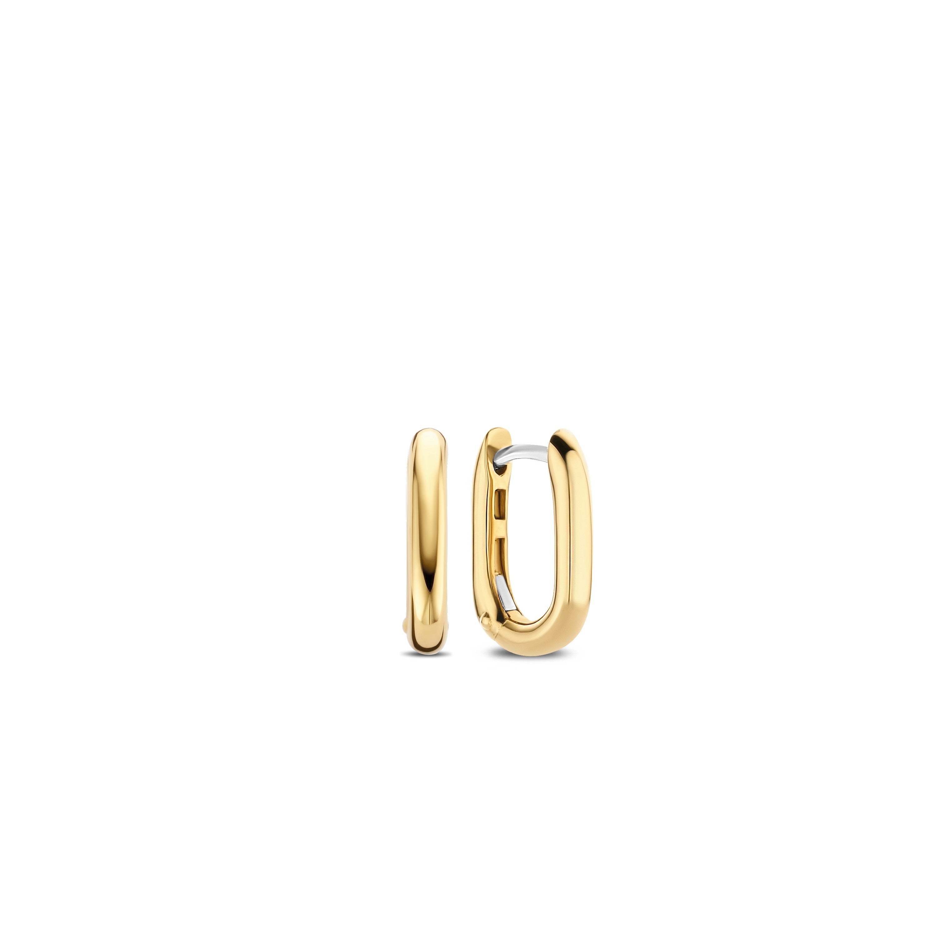 Oval Link Golden Earrings