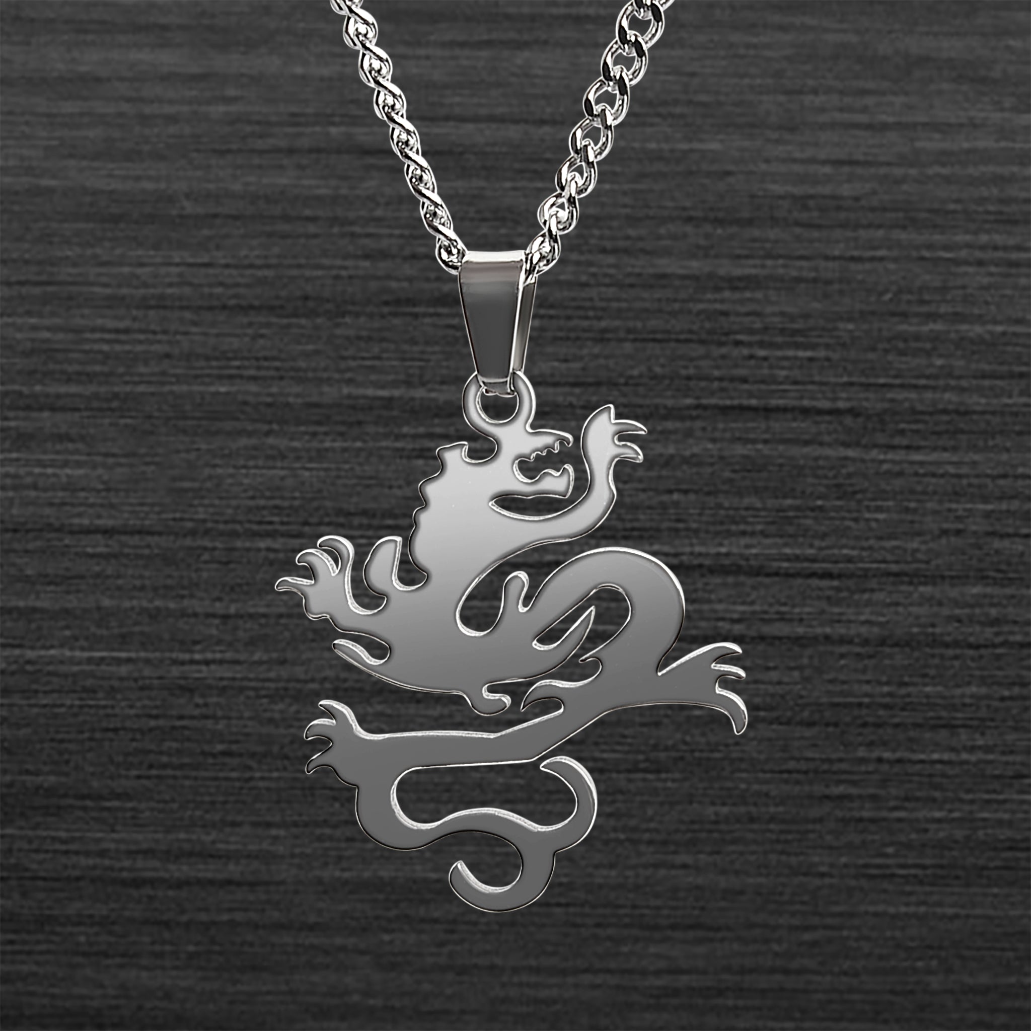 Stainless Steel DRAGON Curb Chain Necklace / PDK0204-RTL
