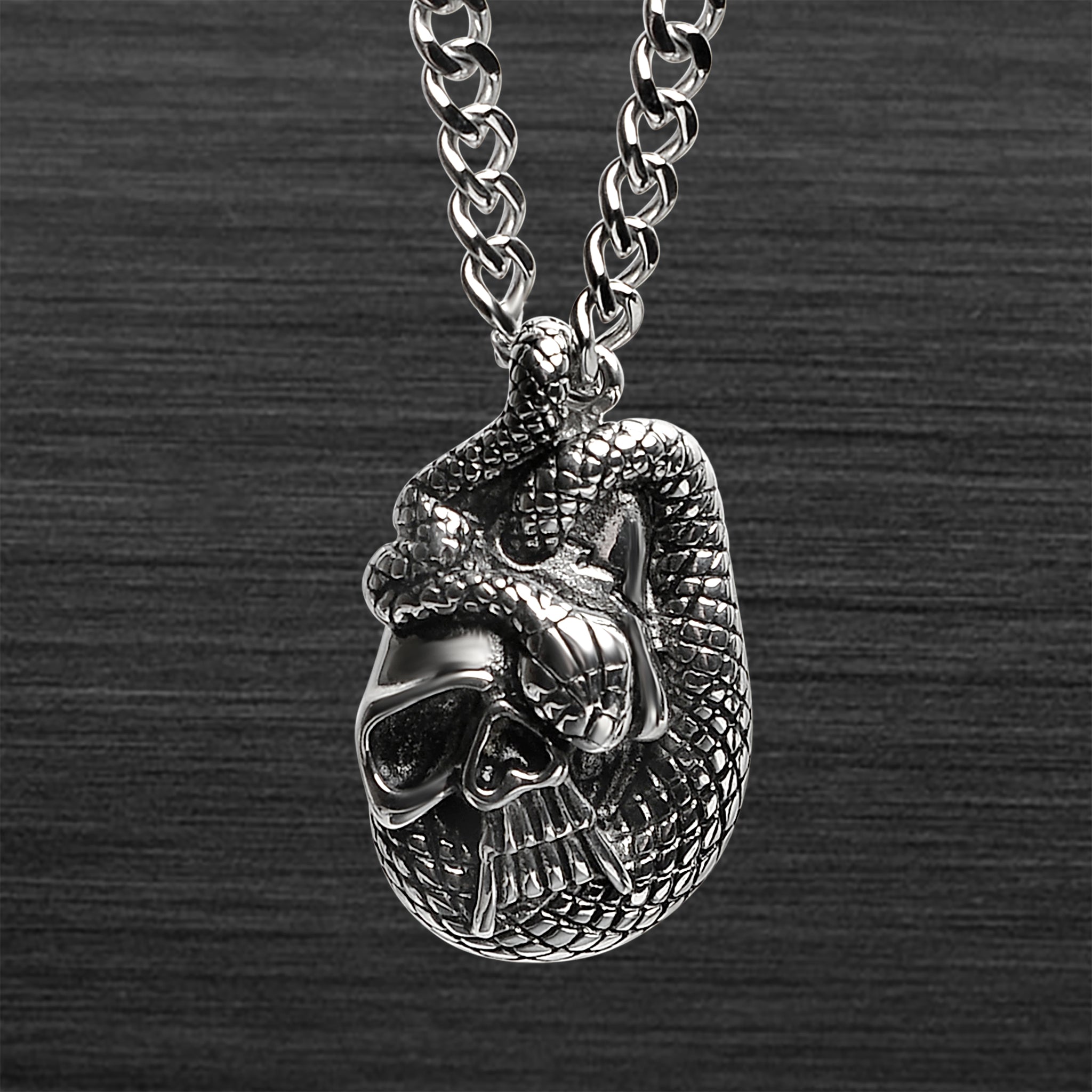 Stainless Steel Snake In SKULL Curb Chain Necklace / PDL2002-RTL
